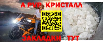прущие грибы Можга