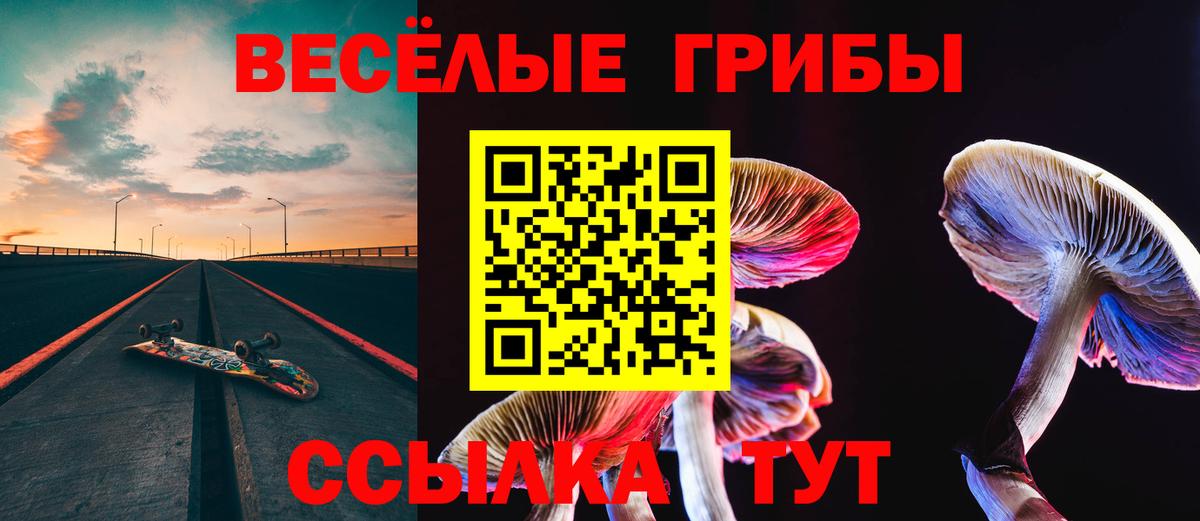 Галлюциногенные грибы GOLDEN TEACHER Знаменск