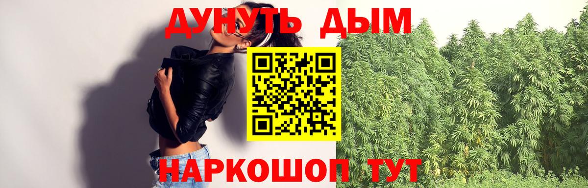 Бошки Шишки план Знаменск