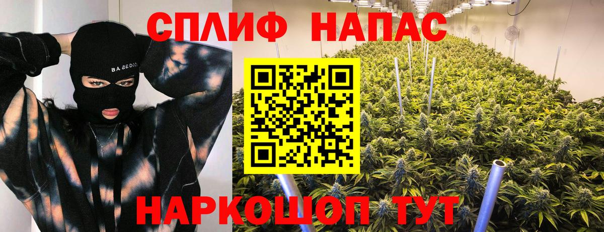 Бошки марихуана Amnesia  Канабис ГИДРОПОН  Знаменск  Марихуана OG Kush  Вход с VPN  Канабис Bruce Banner 